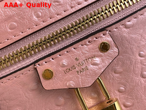 Louis Vuitton Vanity Chain Pouch in Pink Glaze Ostrich Leather N85820 Replica