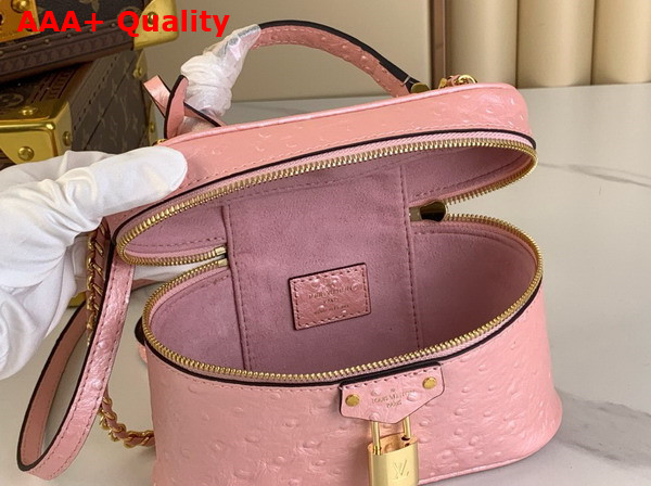 Louis Vuitton Vanity Chain Pouch in Pink Glaze Ostrich Leather N85820 Replica