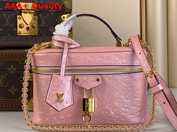 Louis Vuitton Vanity Chain Pouch in Pink Glaze Ostrich Leather N85820 Replica