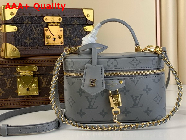 Louis Vuitton Vanity Chain Pouch in Trianon Gray Calfskin Leather M12427 Replica