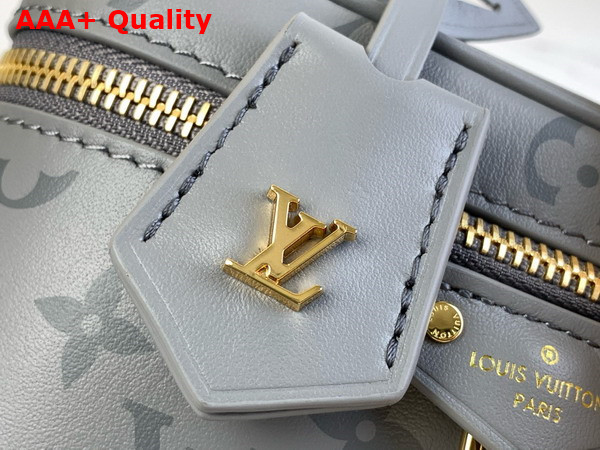 Louis Vuitton Vanity Chain Pouch in Trianon Gray Calfskin Leather M12427 Replica