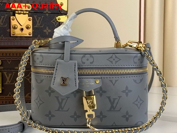 Louis Vuitton Vanity Chain Pouch in Trianon Gray Calfskin Leather M12427 Replica