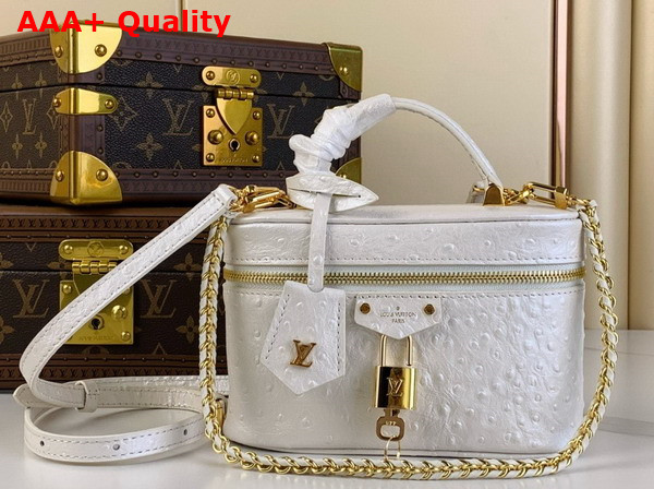 Louis Vuitton Vanity Chain Pouch in White Pearl Ostrich Leather N85911 Replica