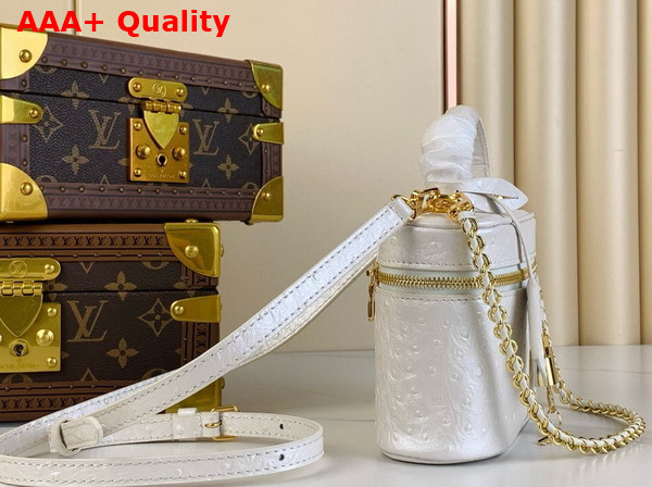 Louis Vuitton Vanity Chain Pouch in White Pearl Ostrich Leather N85911 Replica