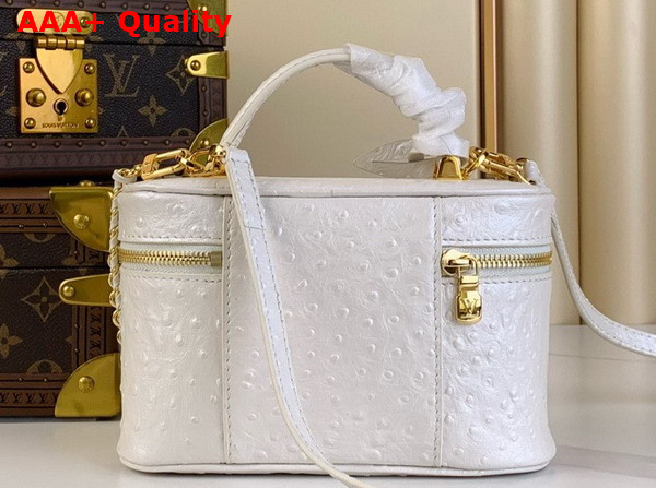 Louis Vuitton Vanity Chain Pouch in White Pearl Ostrich Leather N85911 Replica