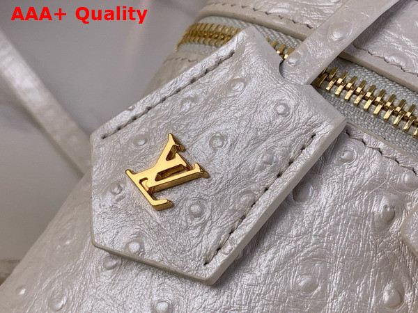 Louis Vuitton Vanity Chain Pouch in White Pearl Ostrich Leather N85911 Replica