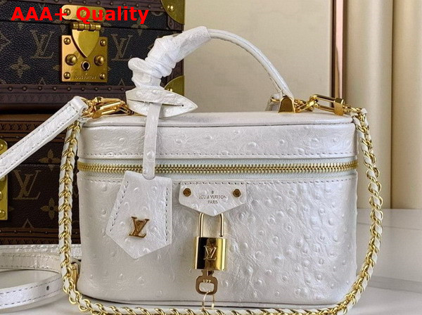 Louis Vuitton Vanity Chain Pouch in White Pearl Ostrich Leather N85911 Replica